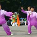 Tai Chi Chuan - Art martial interne à Lyon