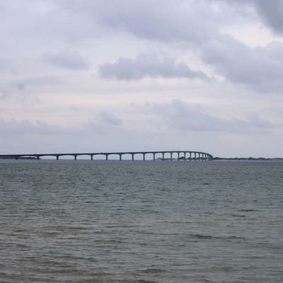 Lauzières, Esnandes - Charente Maritime 