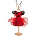 Costume de fée coccinelle