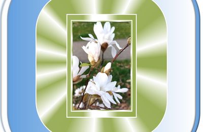 + Défi "palette de couleurs" chez Digidebscrap