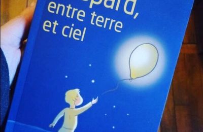 J'ai lu  : Gaspard entre terre et ciel 