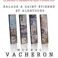 L'artiste ligérien Michel Vacheron !