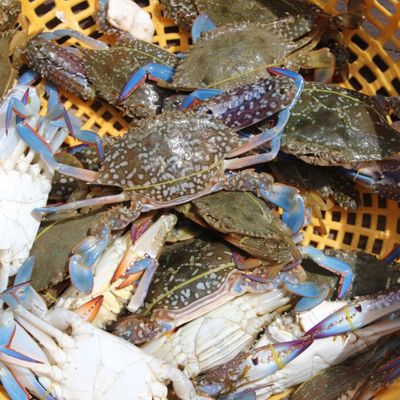 Kep & le Blue Kep Hotel