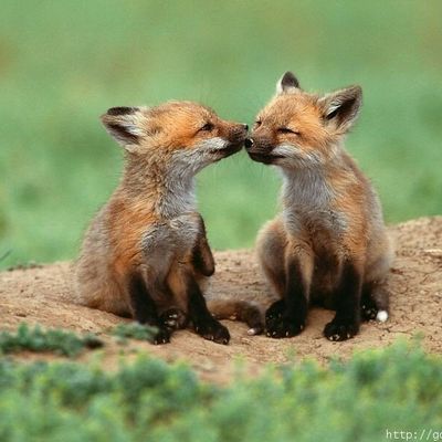 41e répétition de la 6e D le jeudi 3 Avril 2008