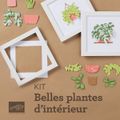 Kit Belles Plantes d'Intérieur