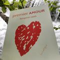 Premier amour Benjamin Taïeb Éditions Lunatique