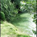 Lac d'Ardre