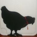 Une poule