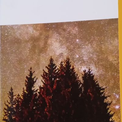 Livre 22 à 24 en 2024