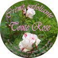 Crème exfoliante toute rose...