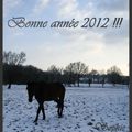 Bonne année!!!