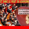 LES VERTS COMMENCENT A SE RENDRE COMPTE QUE LES SOCIALISTES SE SONT FOUTUS DE LEUR GUEULE EN LES ROULANT DANS LA FARINE