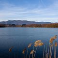 Le lac (gelé) du Malsaucy