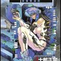 Manga - Perfect edition Tome 1 & 2 : The Ghost in the shell (3/5)