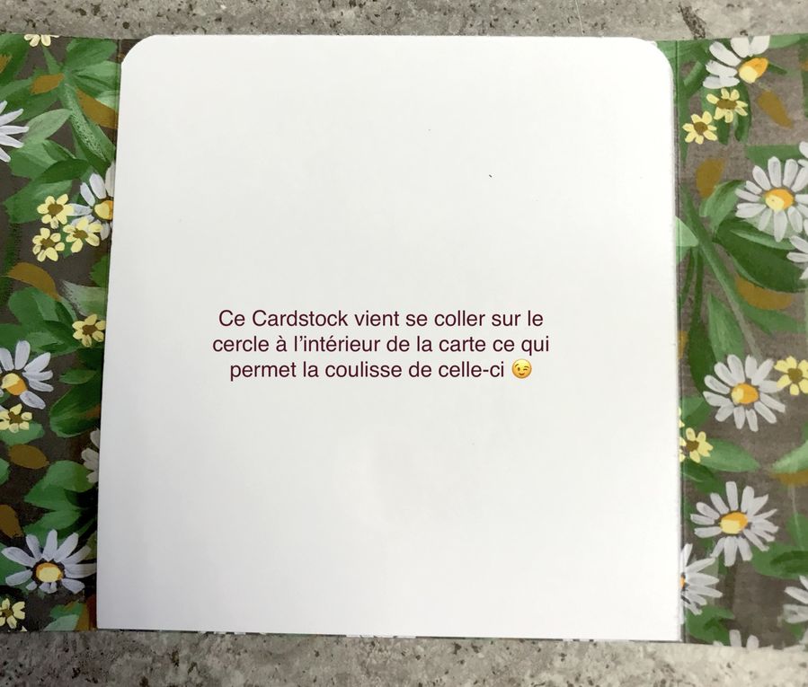 Joyeux Anniversaire Joëlle !