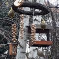 DE NOUVELLES MANGEOIRES POUR LES OISEAUX DU JARDIN !