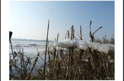 Glaces ... de Loire