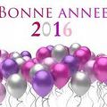 Bonne Année 2016 !