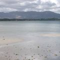 La Nouvelle Calédonie... l'île des pins