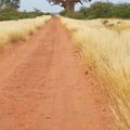 poser ses pieds sur la terre d'un peuple disparu #mapungubwe (3)