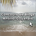 Concours de blogs antillo-guyanais