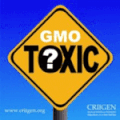    	  Pétition pour la transparence sur les signes de toxicité des OGM