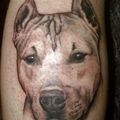 Dog Tattoo