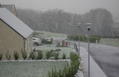 Première Neige de l' année....