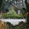 [Drôme] le jardin zen de Montvendre en hiver