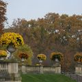 Novembre au Jardin du Luxembourg 