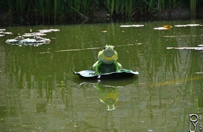  La Grenouille et le Boeuf.