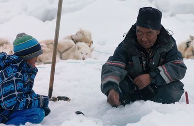 DVD :  "Une année polaire" de Samuel Collardey - un voyage dépaysant et humaniste !