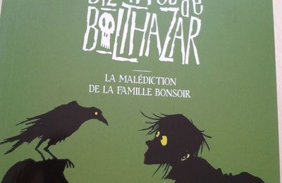 Histoires bizarres de Balthazar tome 2 : la malédiction de la famille Bonsoir - Chris Mould