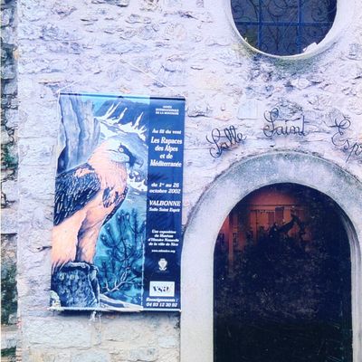Exposition "Au fil du Vent, les rapaces des Alpes et de Méditerranée" 