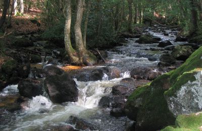 Cascade de la Pisserotte