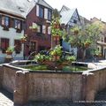 BERGHEIM (68) - Village préféré des français 2022