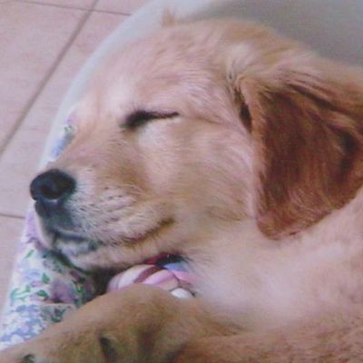 Y a 5 ans et demi déjà...Pourtant c'est la doyenne du groupe!!