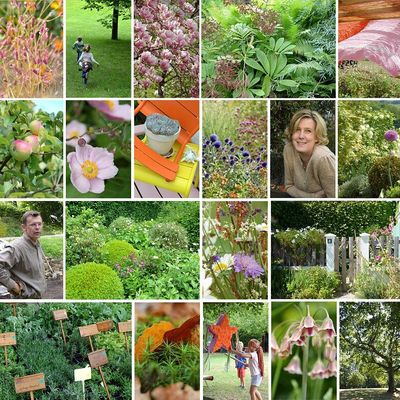 Lancement du site MON JARDIN EN LIGNE