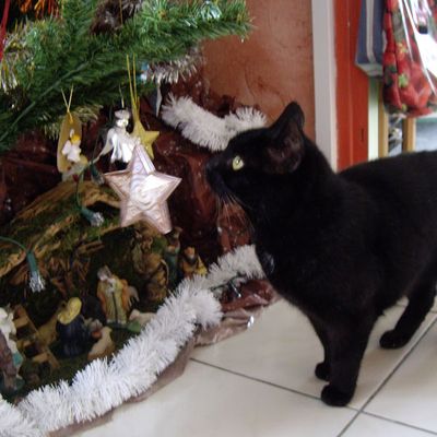 Fidèles lectrices et lecteurs