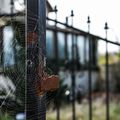 Une maison abandonnée