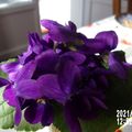La St Valentin : La Fête des gens qui s'aiment ....