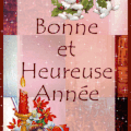 BONNE ET HEUREUSE ANNEE 2009