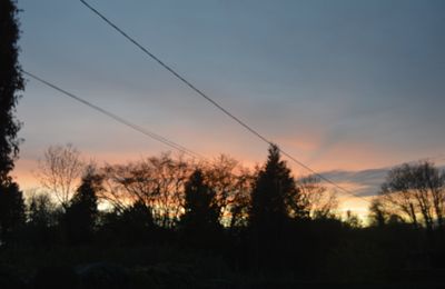 dans la douceur du soir