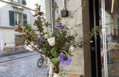 Le temps des fleurs - Hanami