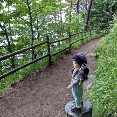 Soo en Auvergne 
