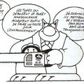 Allez les verts ! (Walrus)