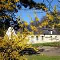 COMPIEGNE...La foret aux couleurs du printemps...