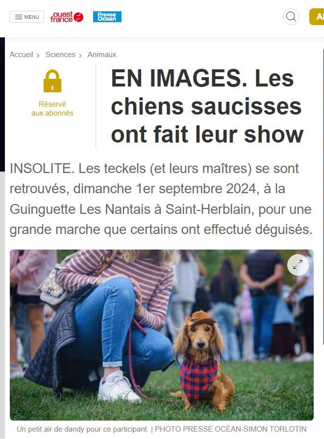 Chein saucisse show