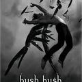 Hush, Hush - Becca Fitzpatrick