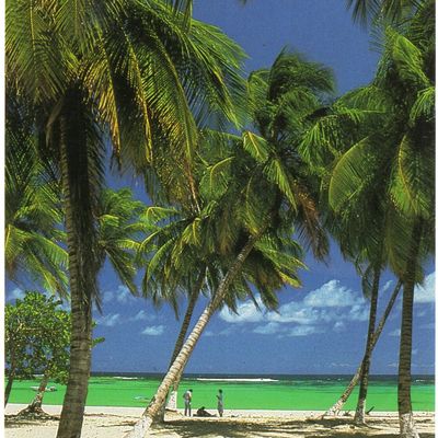 MARIE-GALANTE - Editions: LE PHOTOGRAPHE